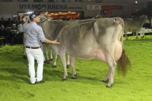 151128SC15 441_Abt 10 Rang 7 Elevation Elke von Armin Schatt SZ